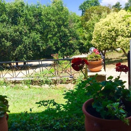 Διαμέρισμα Στην Περιοχή Εθνικής Αντίστασης Apartment Igoumenitsa Bagian luar foto