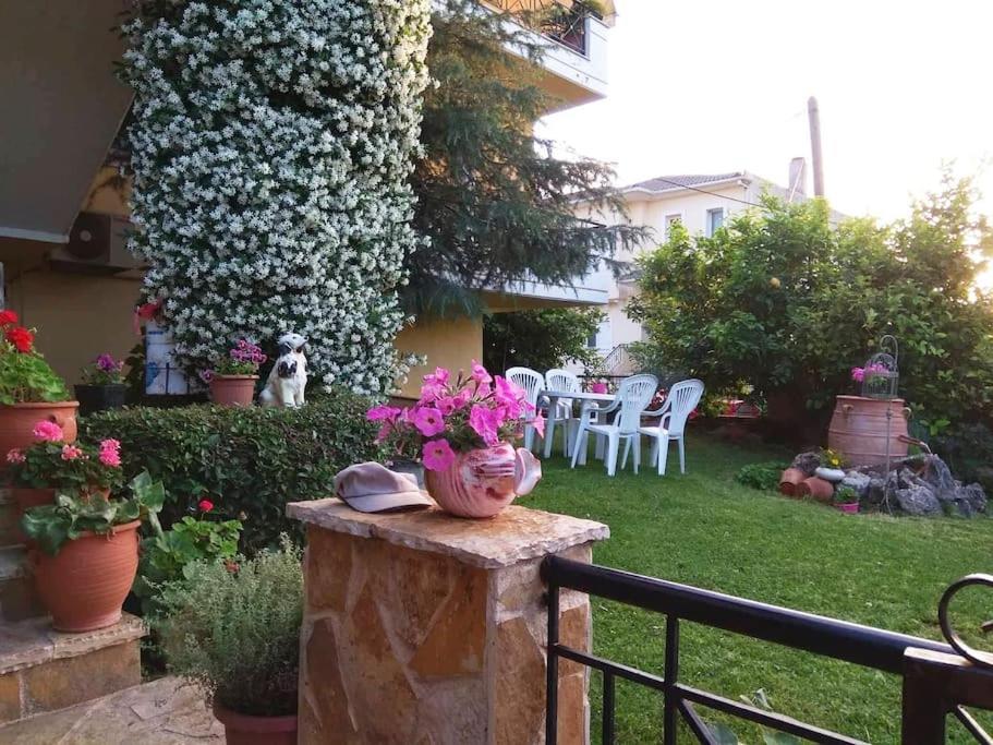 Διαμέρισμα Στην Περιοχή Εθνικής Αντίστασης Apartment Igoumenitsa Bagian luar foto