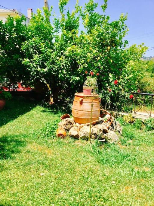 Διαμέρισμα Στην Περιοχή Εθνικής Αντίστασης Apartment Igoumenitsa Bagian luar foto